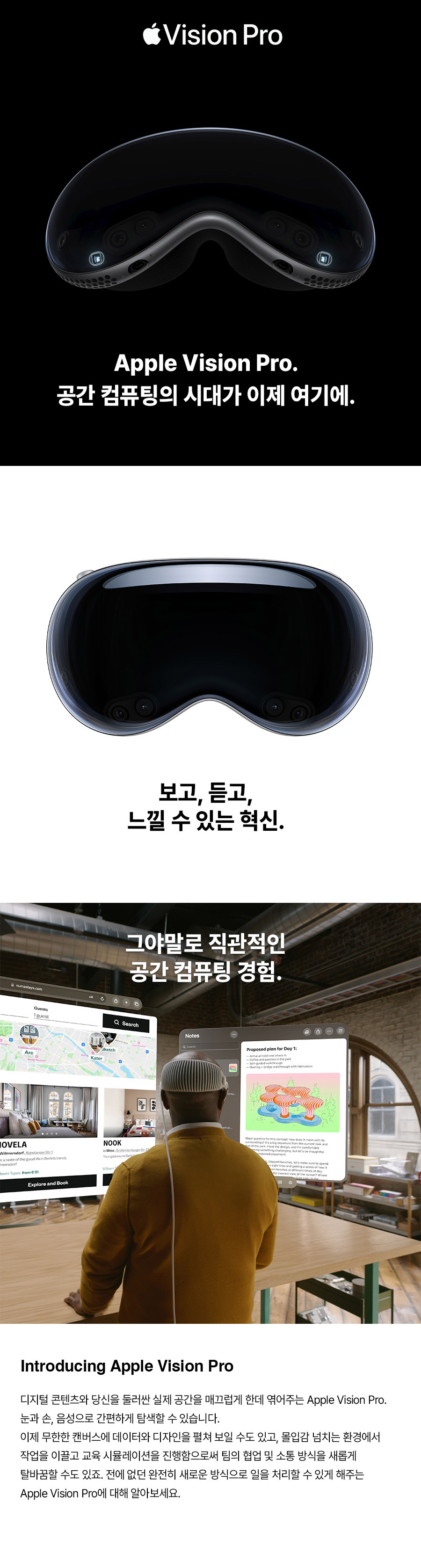 VISION PRO
